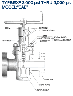 TYPE:EXP 2,000 psi THRU 5,000 psi