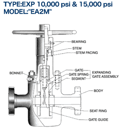 TYPE:EXP 10,000 psi & 15,000 psi